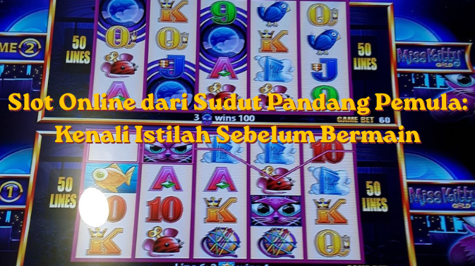 Slot Online dari Sudut Pandang Pemula Kenali Istilah Sebelum Bermain